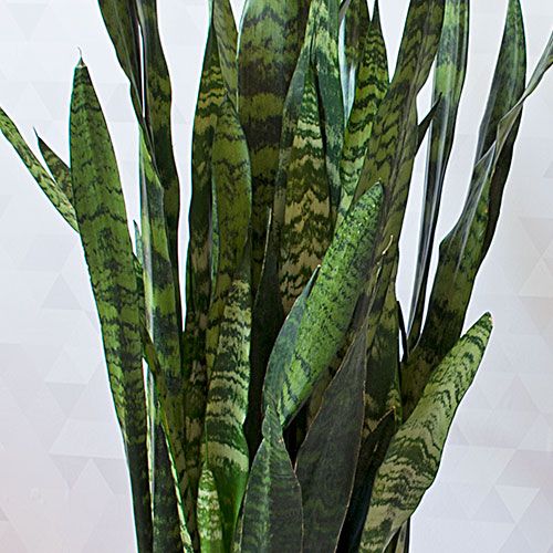 artificial succulents in a pot Handcrafted Faux Mix Succulents In Bowl 13"
