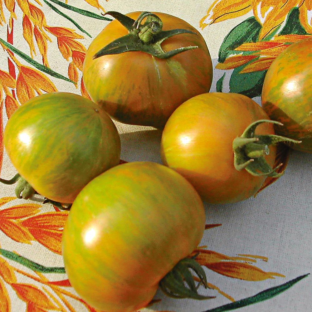 Tomato - Green Striped Zebra (Semi-determinate) – SeedsNow.com