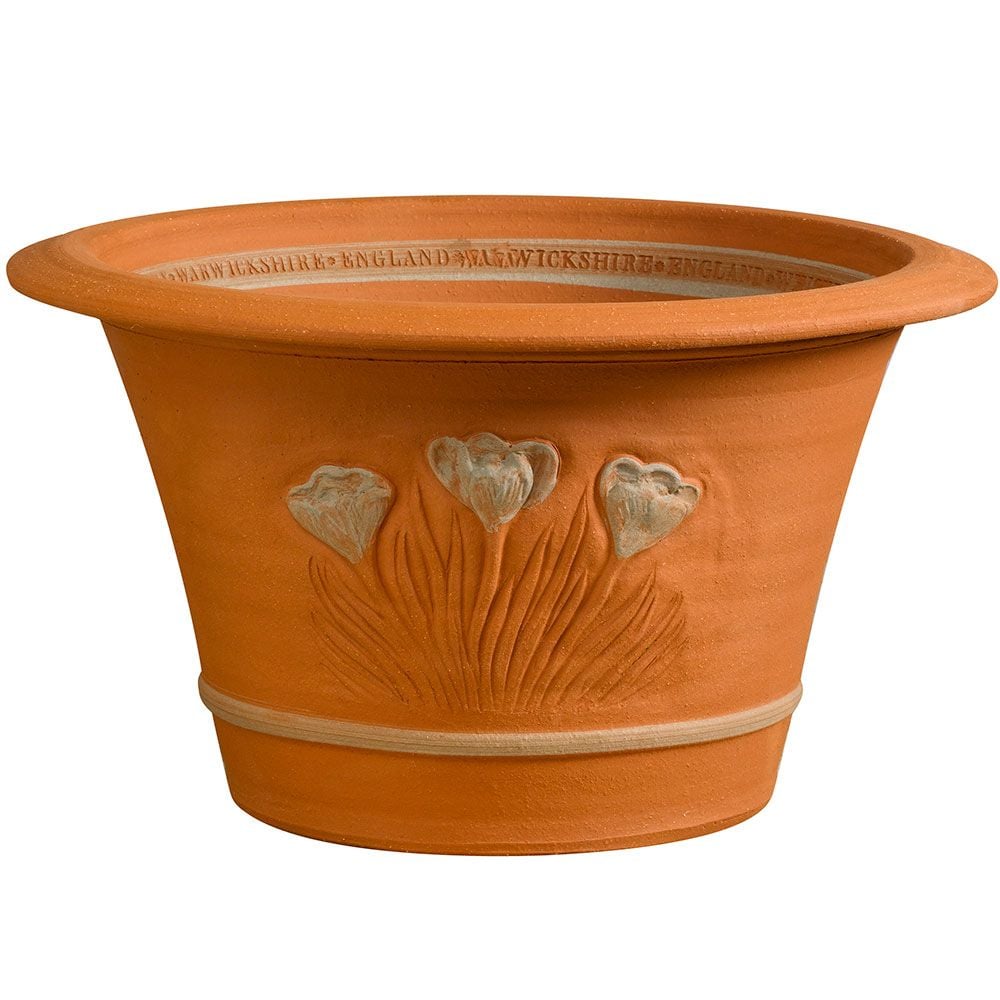 RHS Spring Bulb Pot White Flower Farm