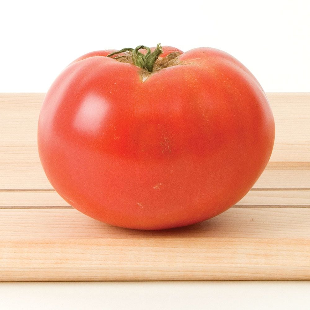 Tomato 'Celebrity'