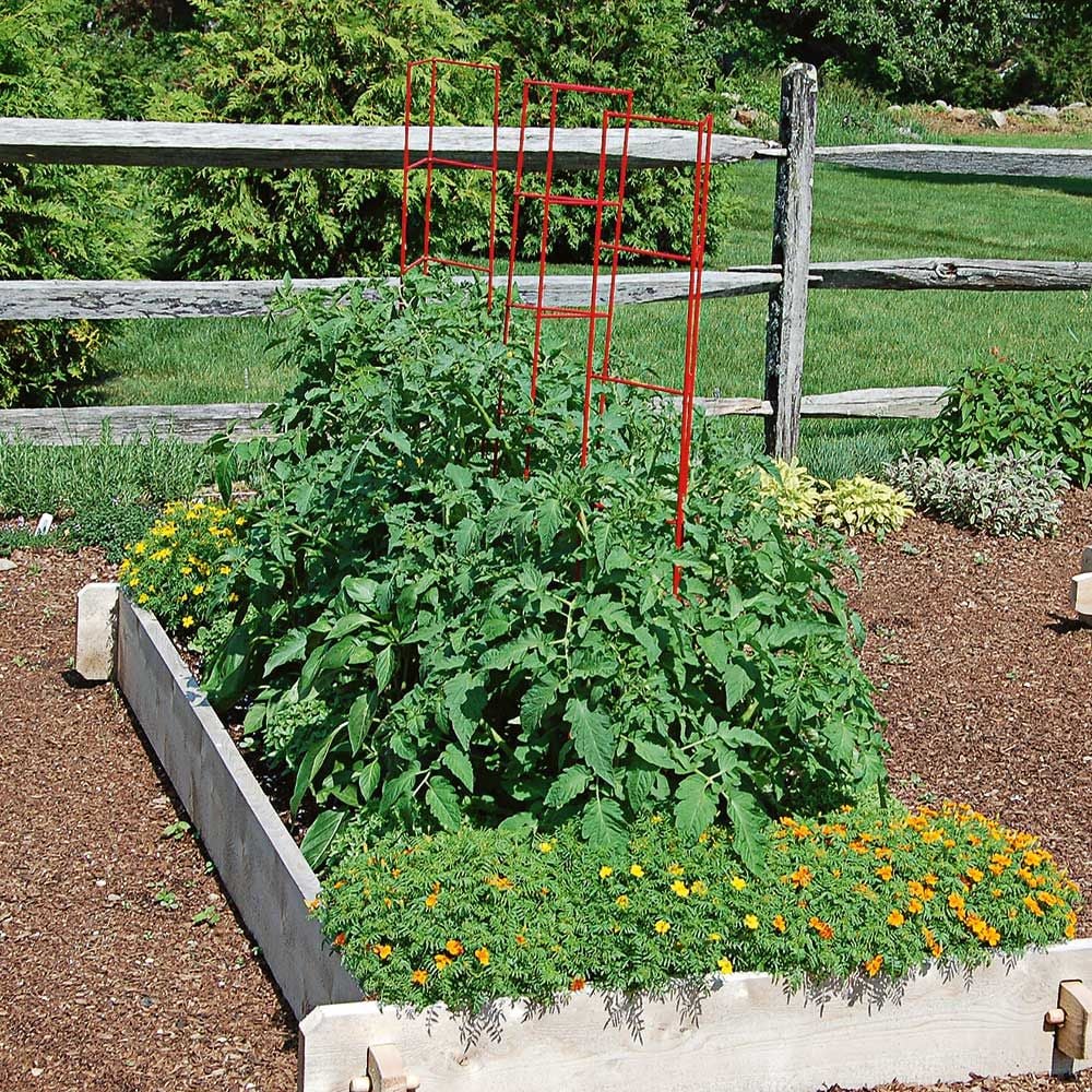 Red Plant Ladder