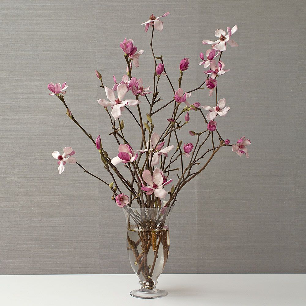 Tulip Magnolia Flowering Branches White Flower Farm