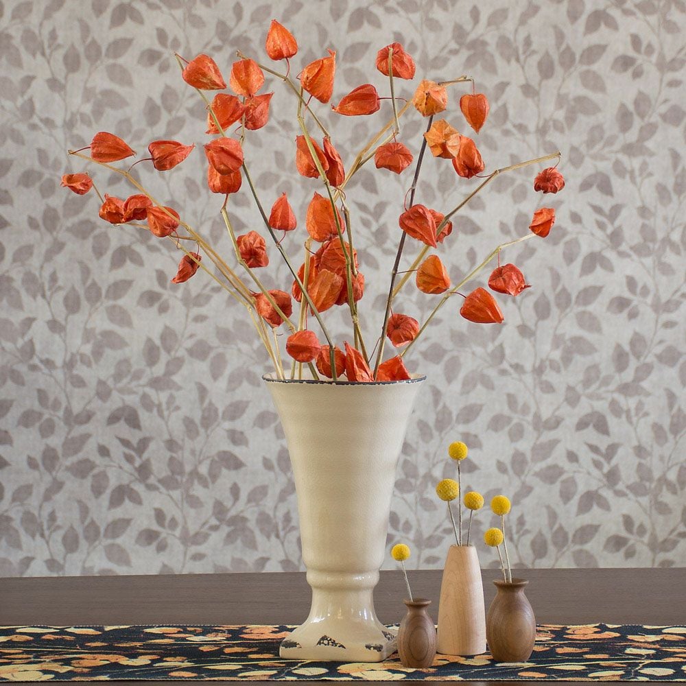 Chinese Lantern Stems White Flower Farm