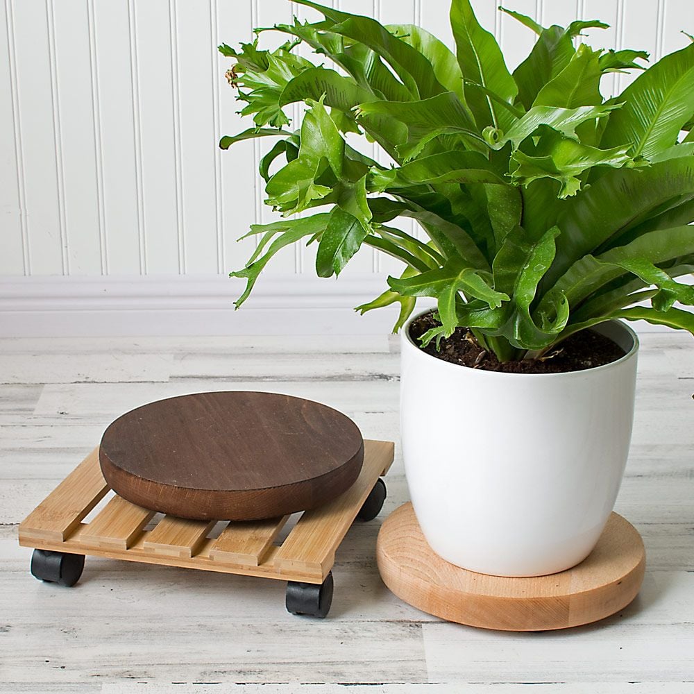 Round Plant Caddy