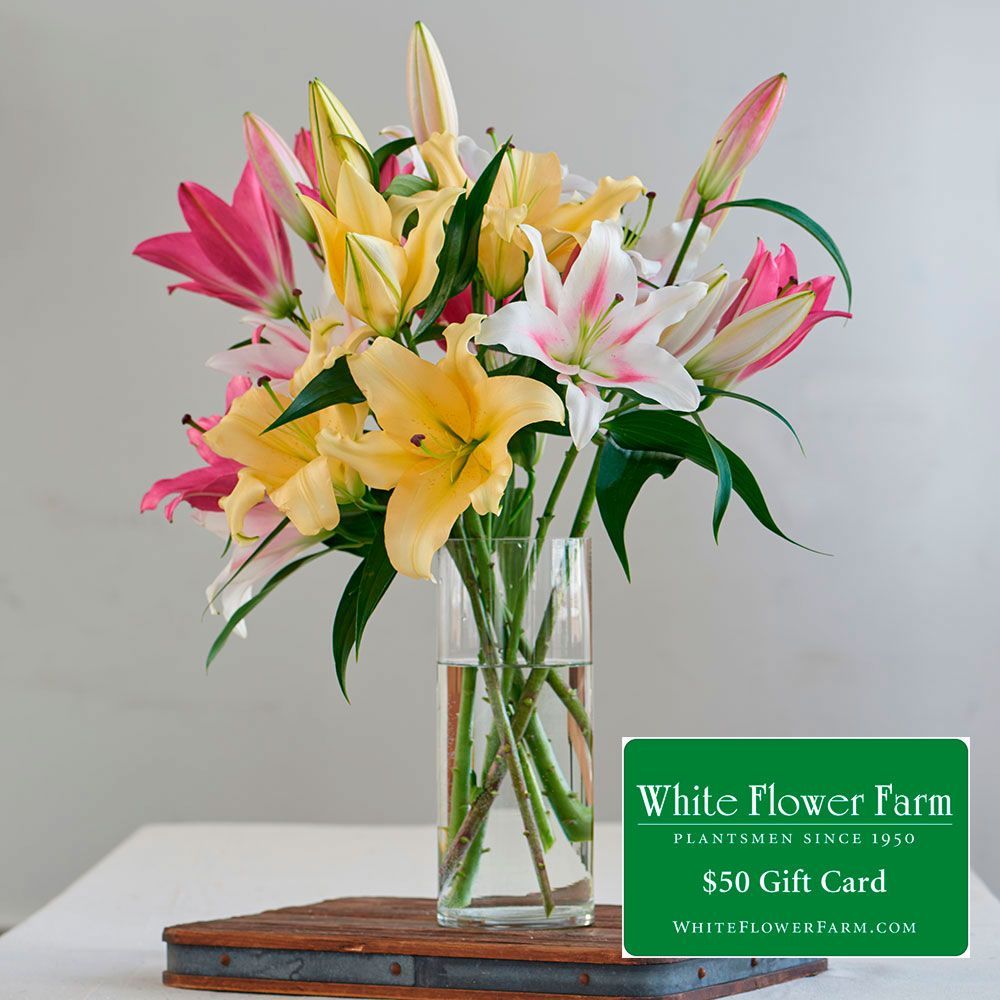 Garden Specials & Flower Coupon White Flower Farm