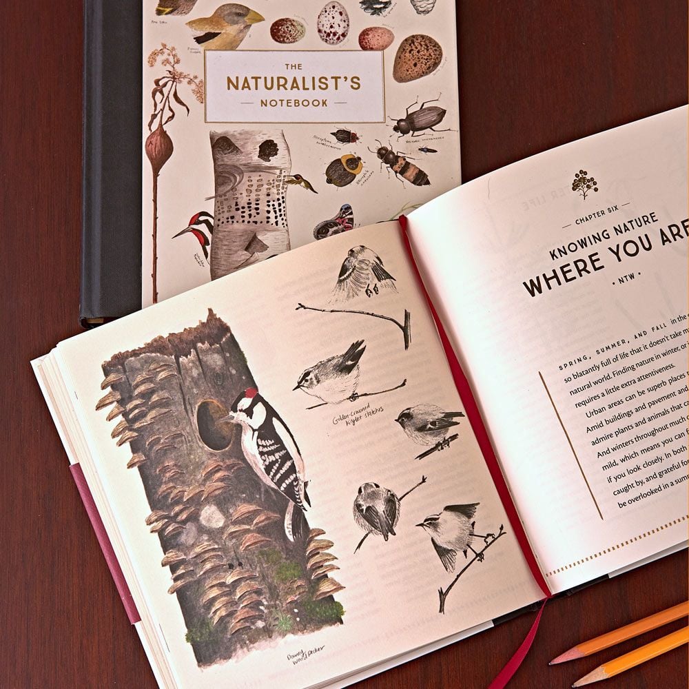 The Naturalist's Notebook