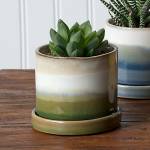 Small Containers & Planters