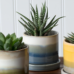 Mission Beach Pot Blue