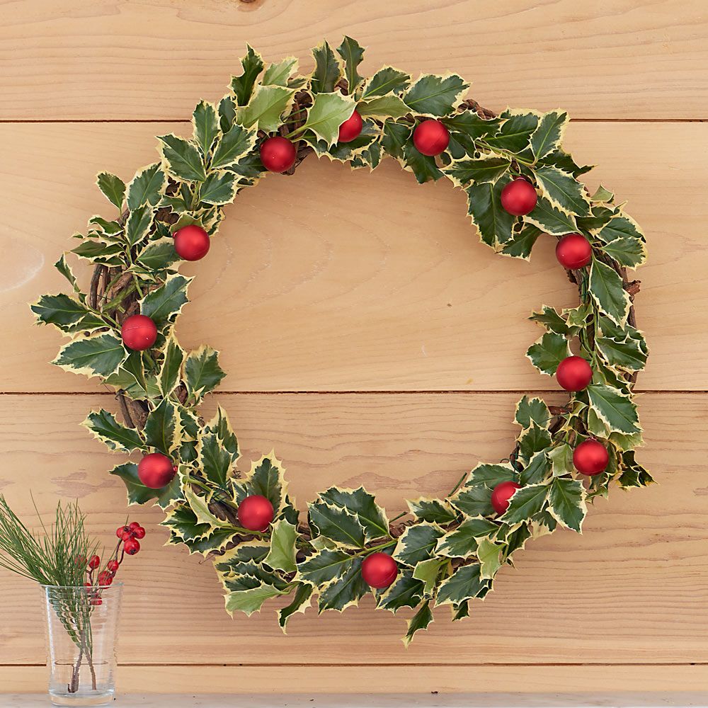Variegated Holly Wreath