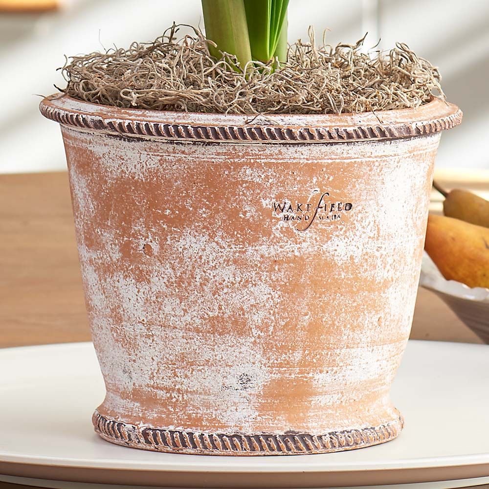 Wavy Rim Ceramic Outdoor Pot, Medium