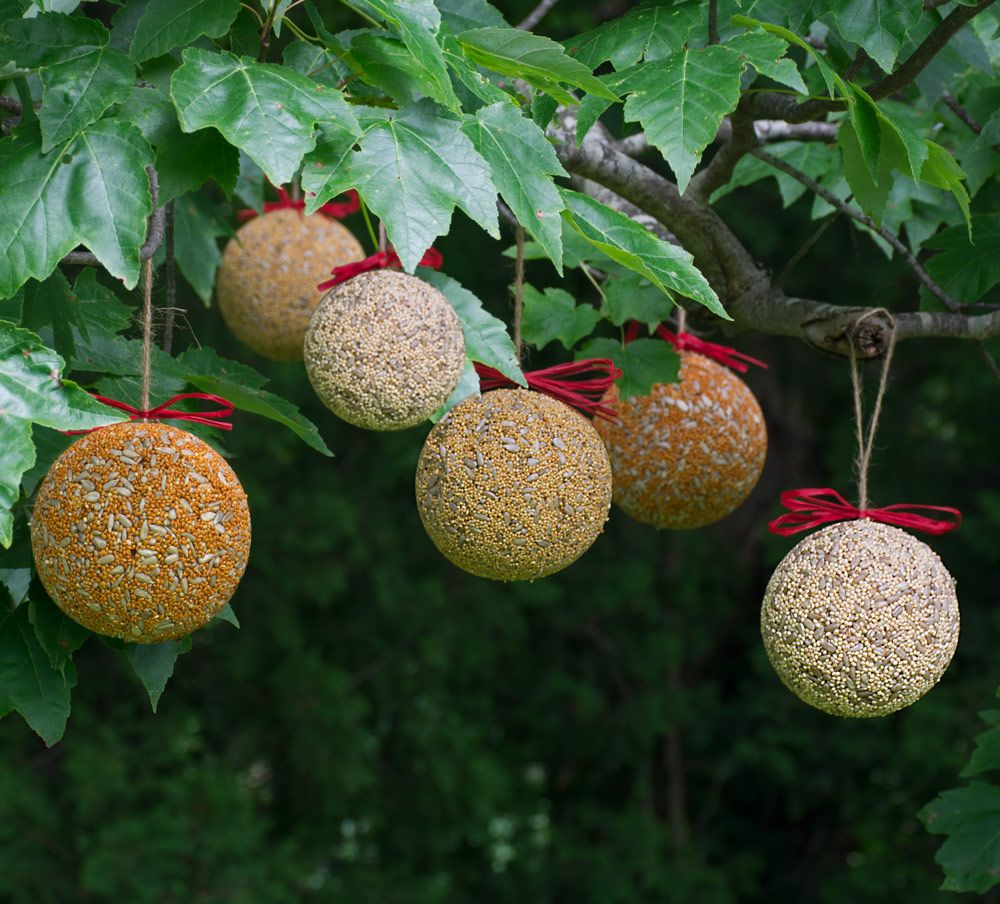 Set of 6 Seed Balls White Flower Farm