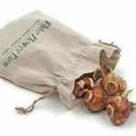  Paperwhite 'Wintersun' in linen bag