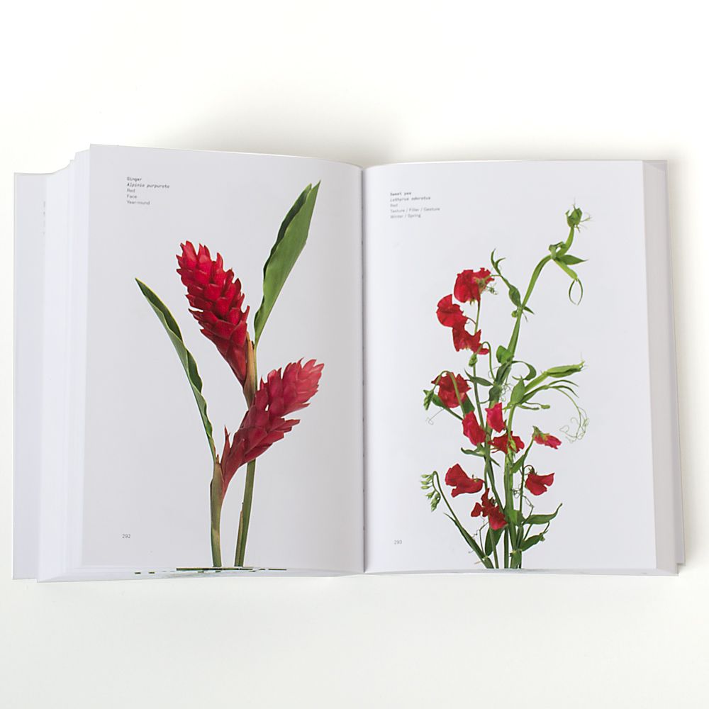 Flower Color Guide White Flower Farm