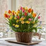  Spring Fling Bulb Garden in X-large woven basket
