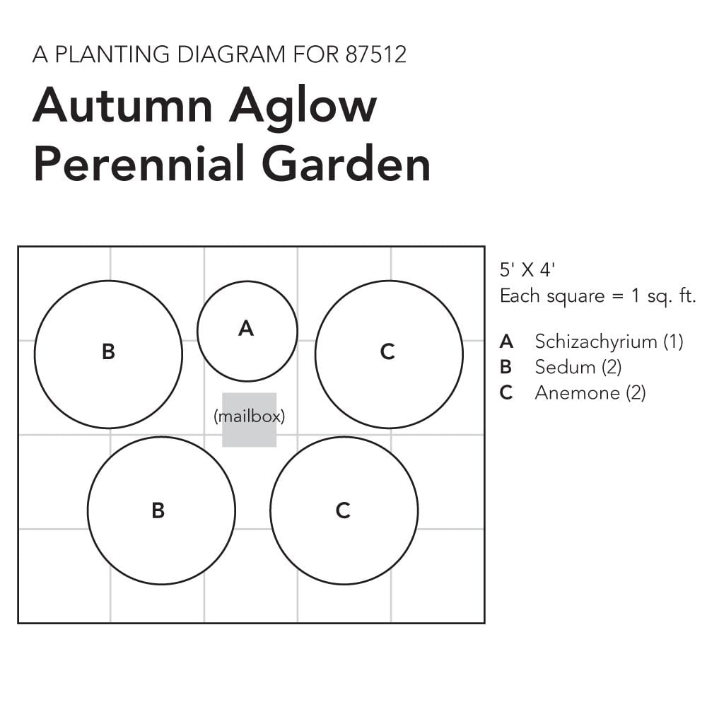 Autumn Aglow Perennial Garden White Flower Farm