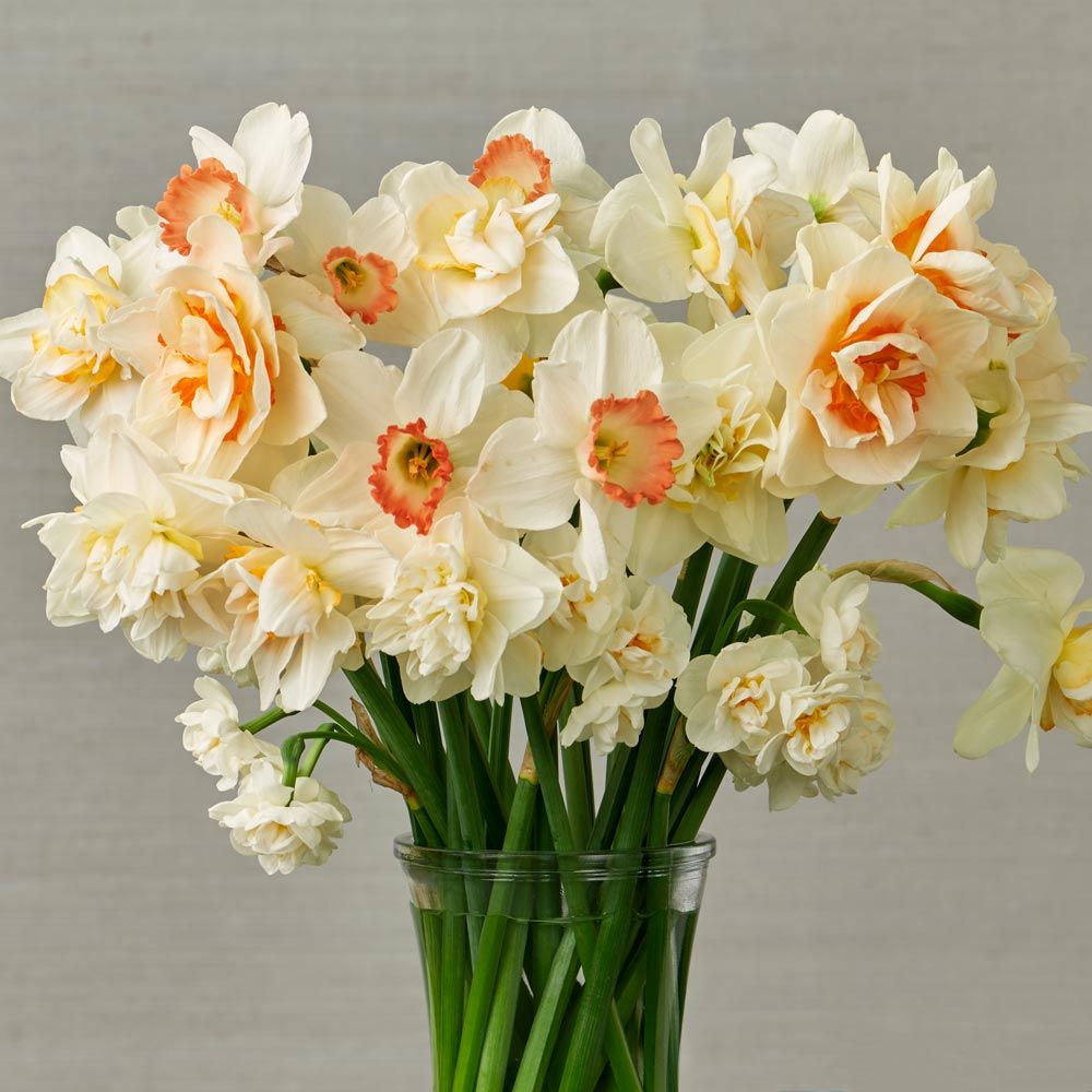 Four Months of Spring Flower Bouquets, March June White Flower Farm