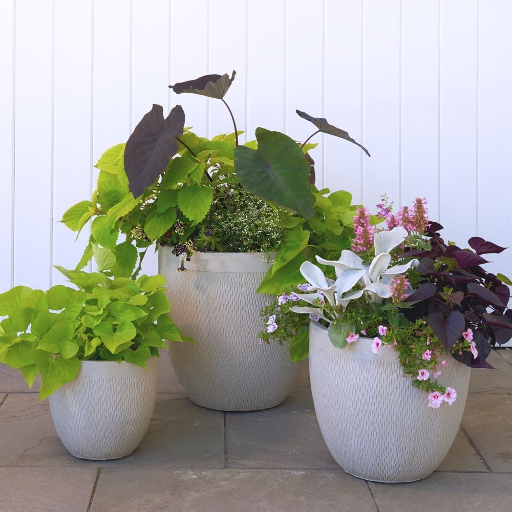 Kent Round Planters, taupe