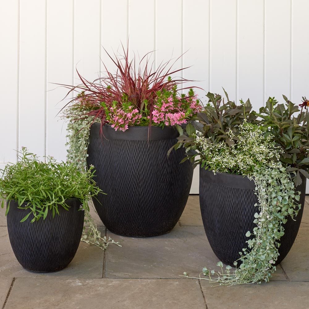 Kent Round Planter, black White Flower Farm