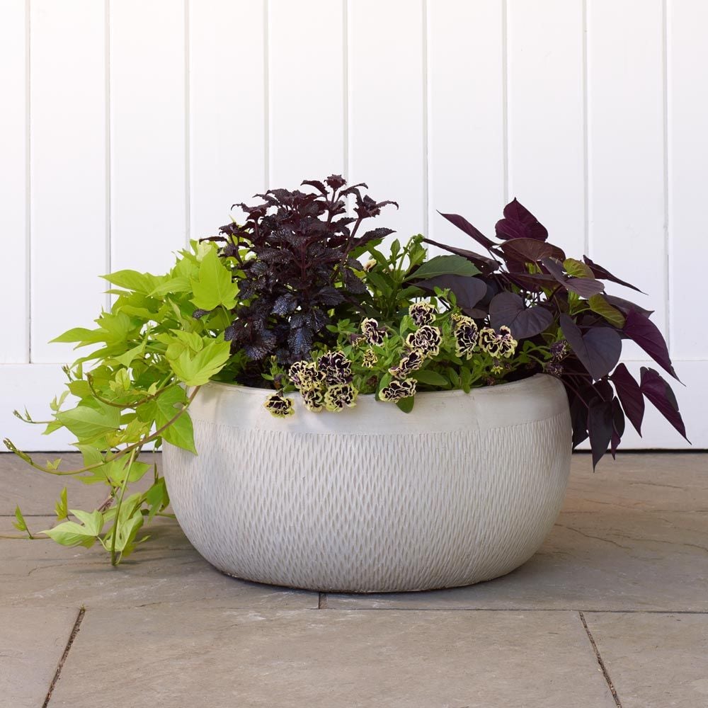 Kent Bowl, taupe