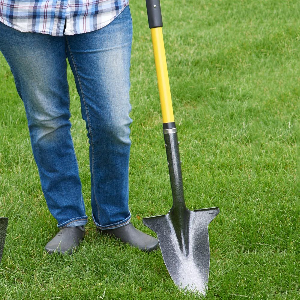 Spear Head Spades® Shovel White Flower Farm