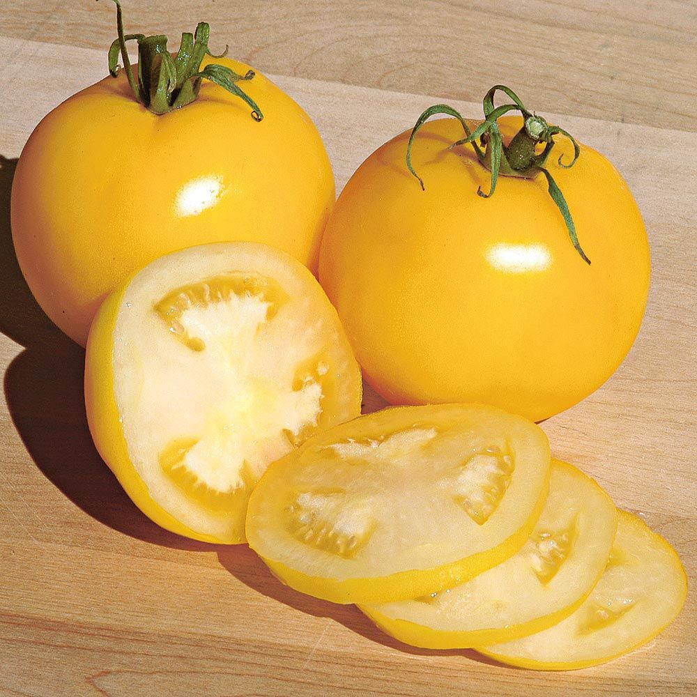Set of 6 Heirloom Tomatoes White Flower Farm