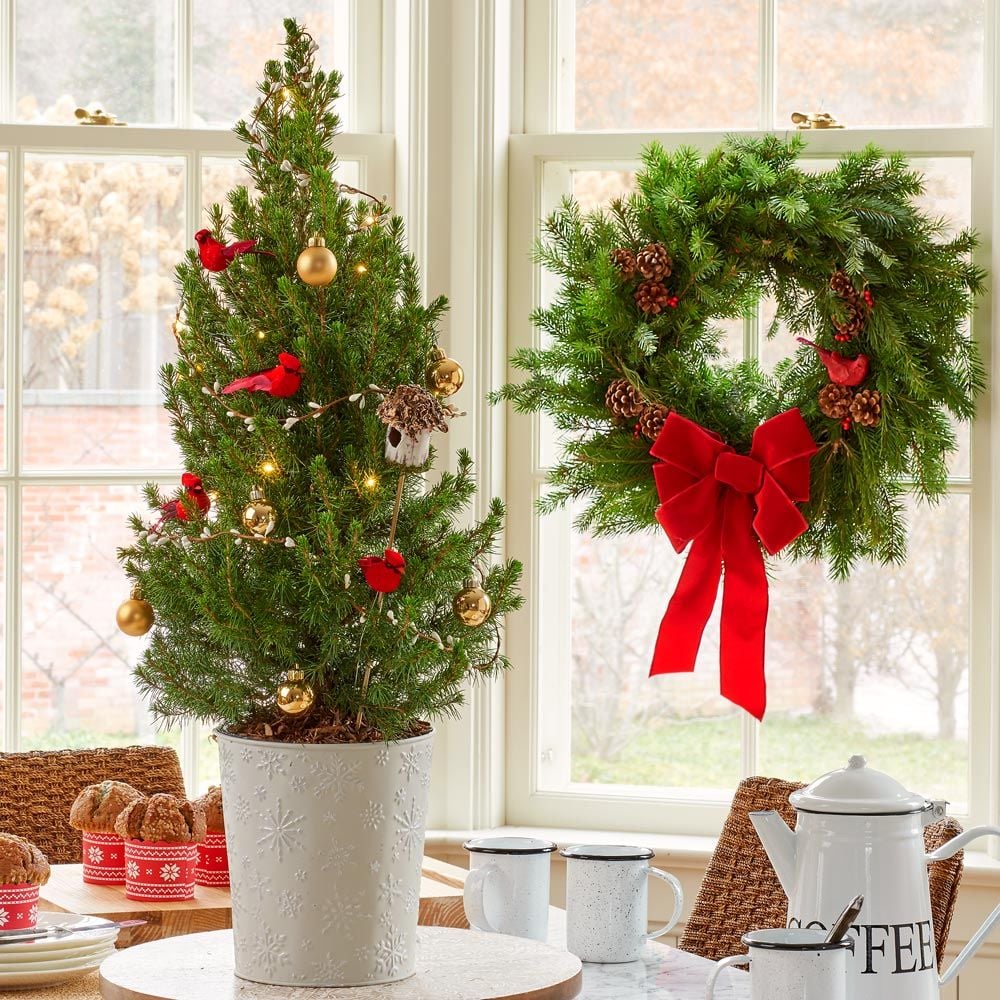 Holiday Cardinal Tabletop Tree White Flower Farm