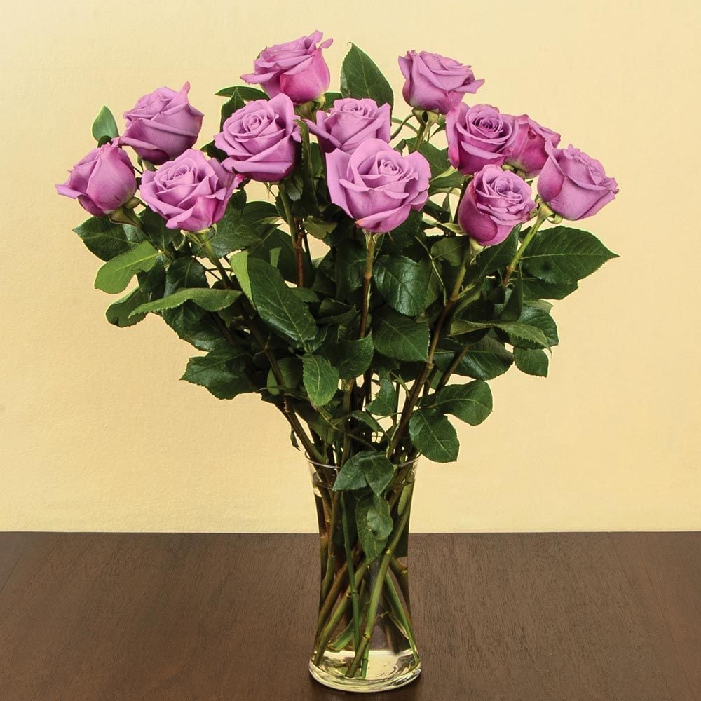 Lavender Rose Bouquet - 12 stems