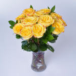  Yellow Bicolor Rose Bouquet - 12 stems