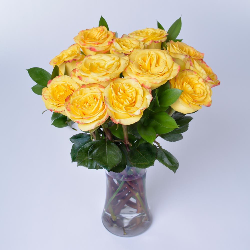 Yellow Bicolor Rose Bouquet - 12 stems