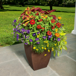  Color Play Container Garden