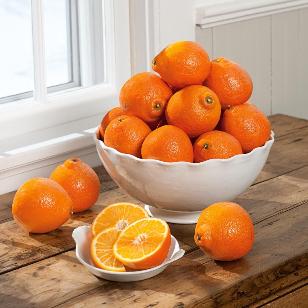 Honeybells -- the Sweetest, Juiciest Citrus