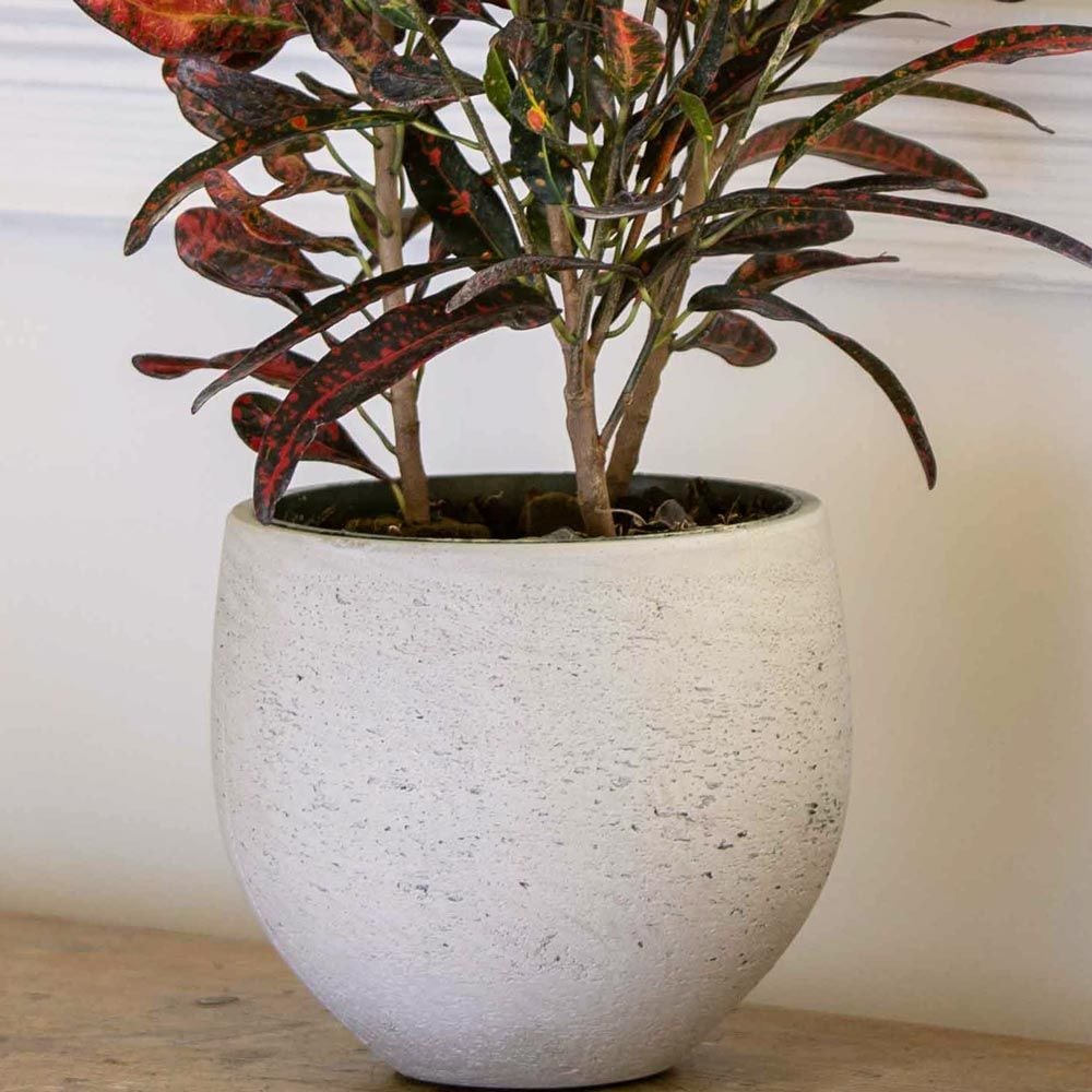 Textured Cachepot, cream
