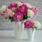  Springtime Peony Bouquet