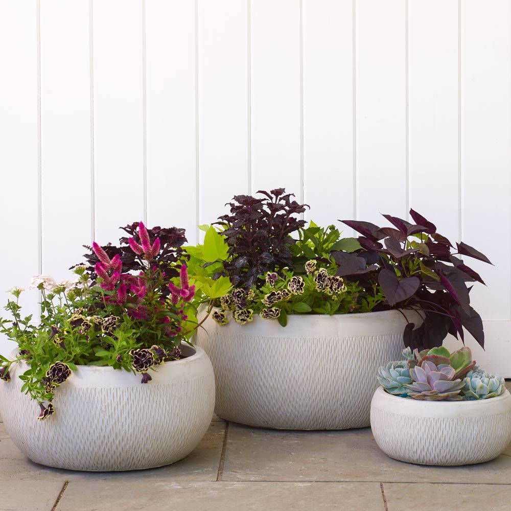 Lightweight Garden Planters White Flower Farm