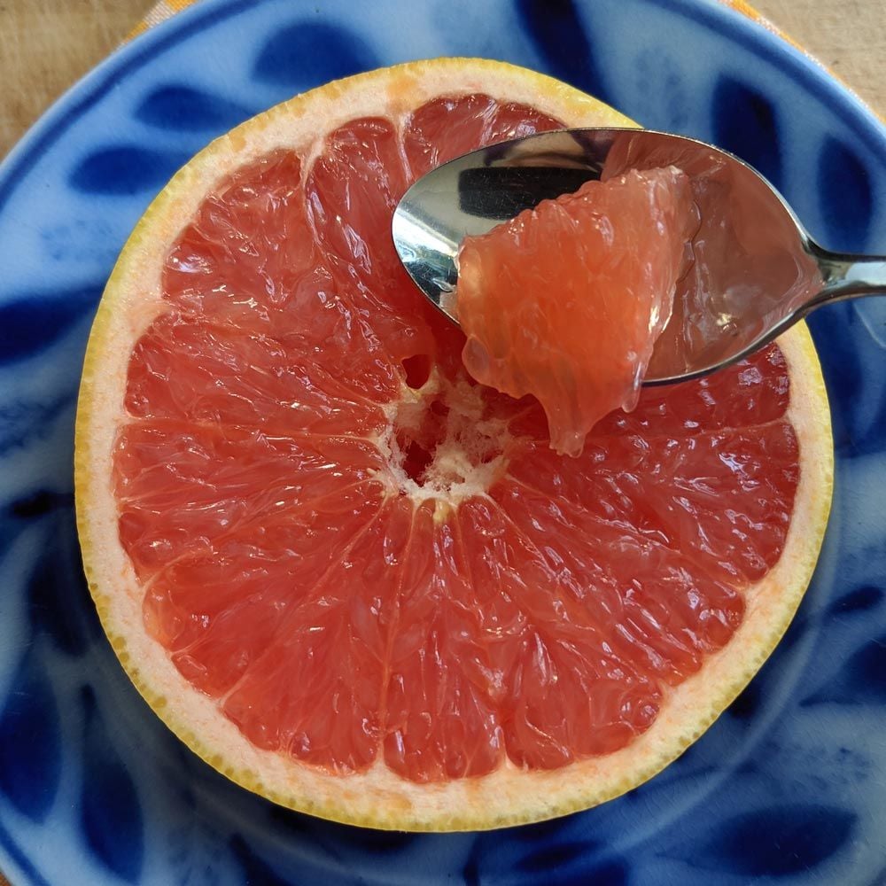 Ruby Red Grapefruit direct from Florida White Flower Farm