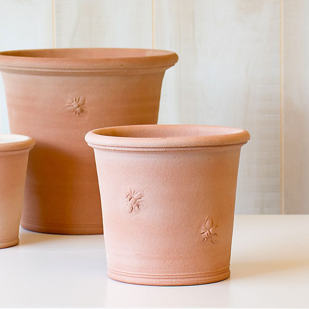 Armscote Bee Pot White Flower Farm