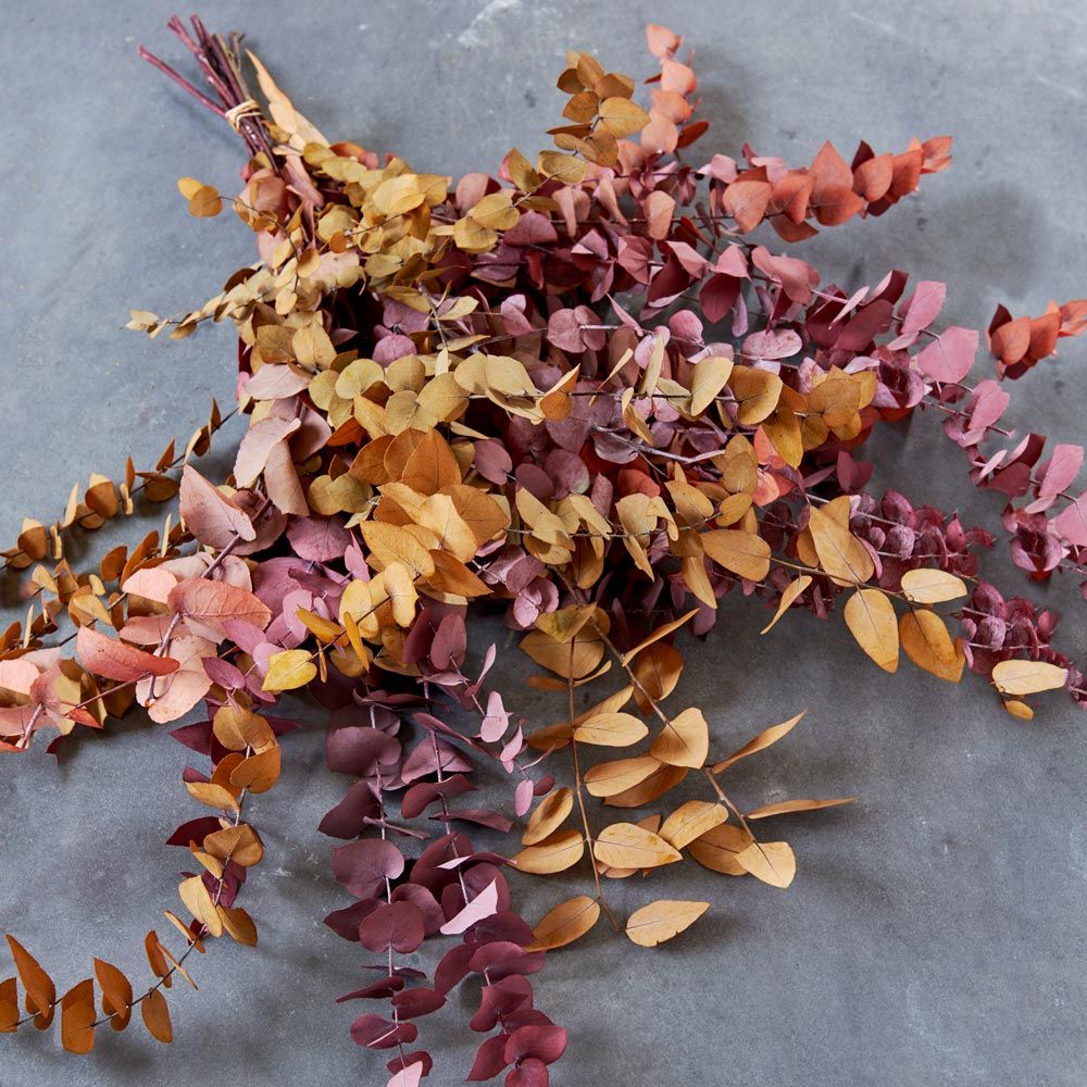 Autumn colored Eucalyptus White Flower Farm