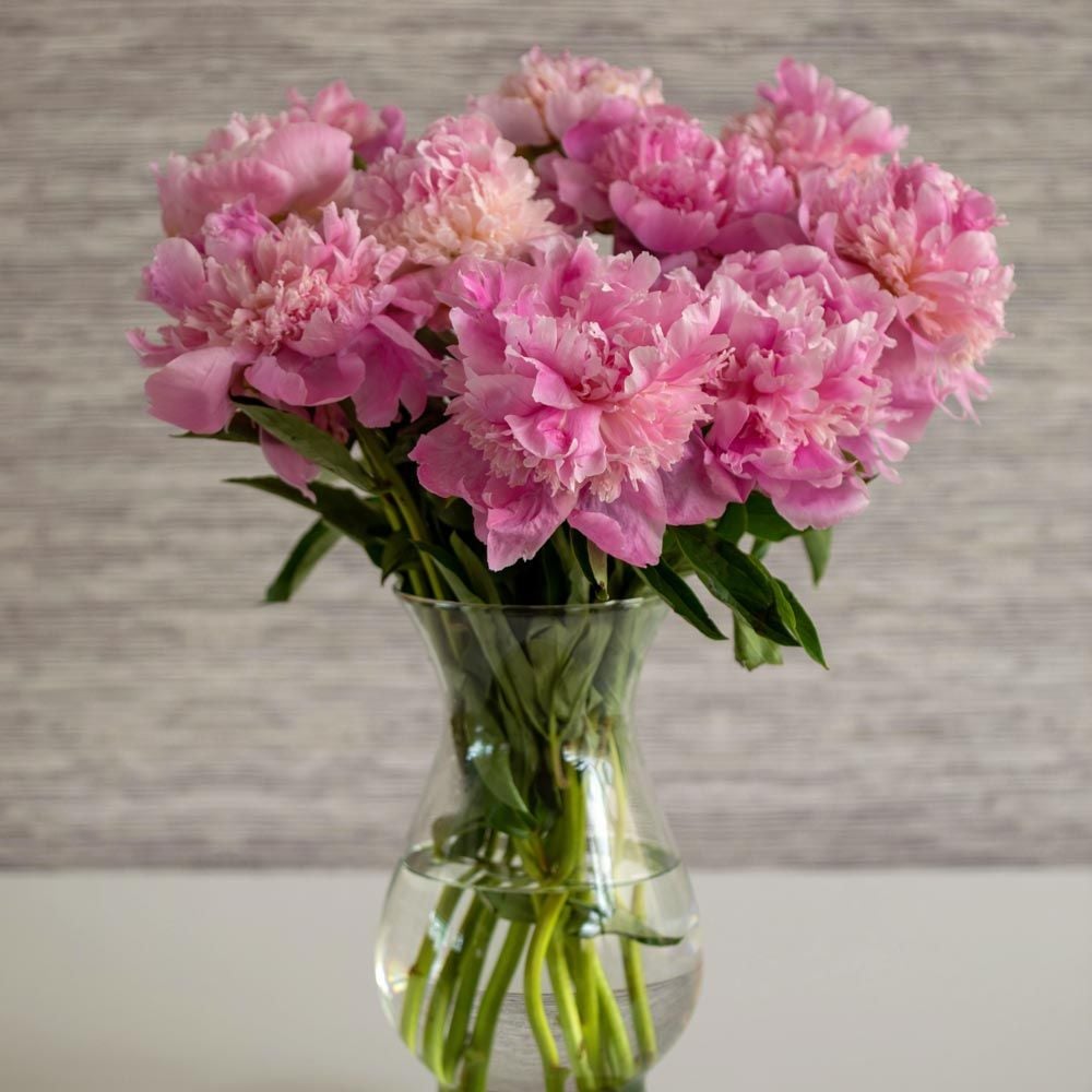 Peony Bouquet | White Flower Farm