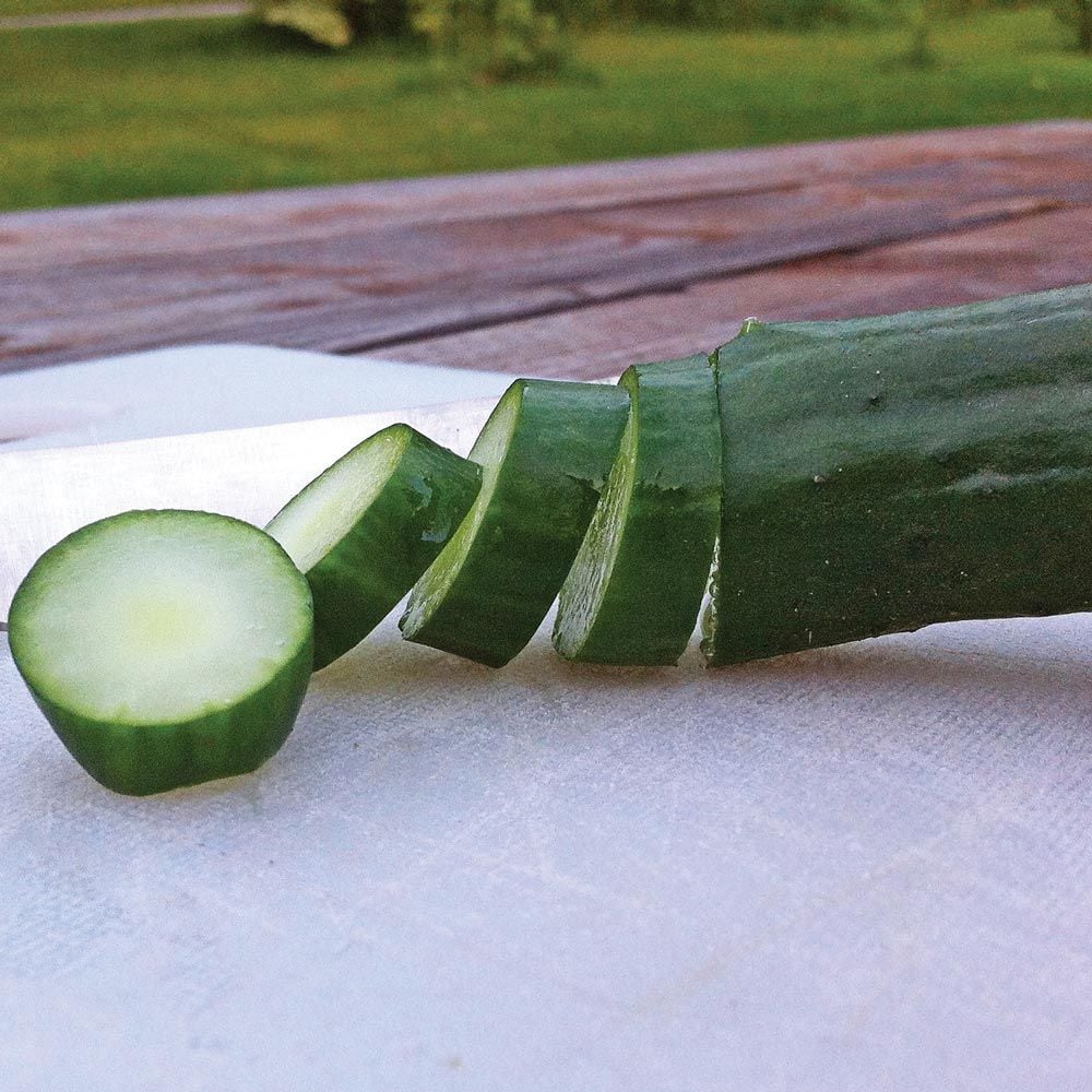Cucumber 'Natsu Suzumi'
