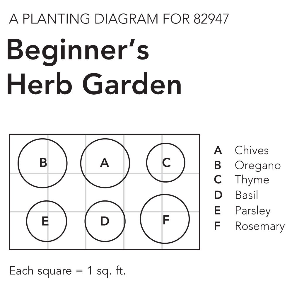 Beginner's Herb Garden White Flower Farm