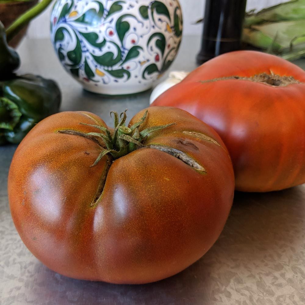 Tomato 'Brandywine Black'