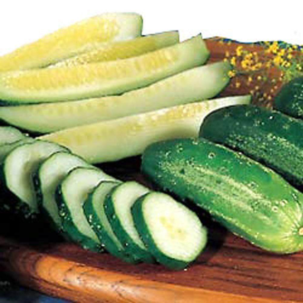 Cucumber 'Homemade Pickles'