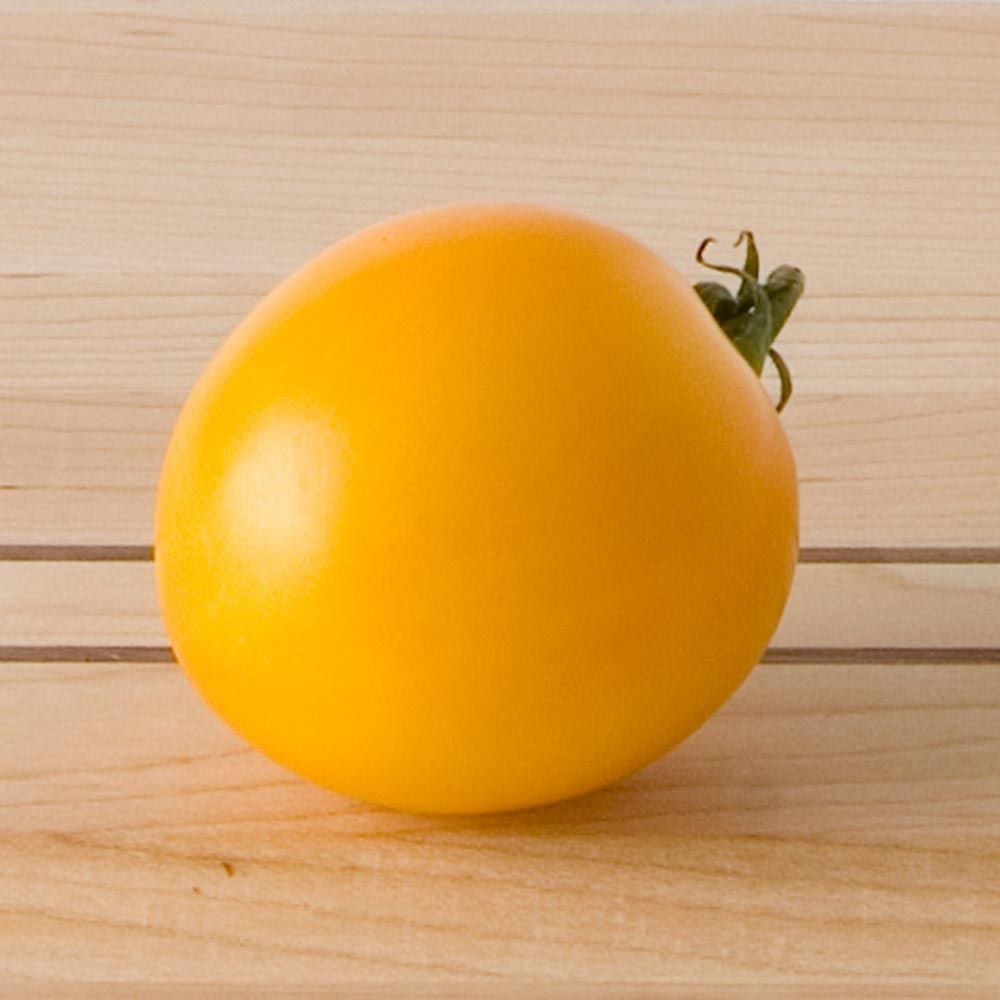Tomato 'Lemon Boy'