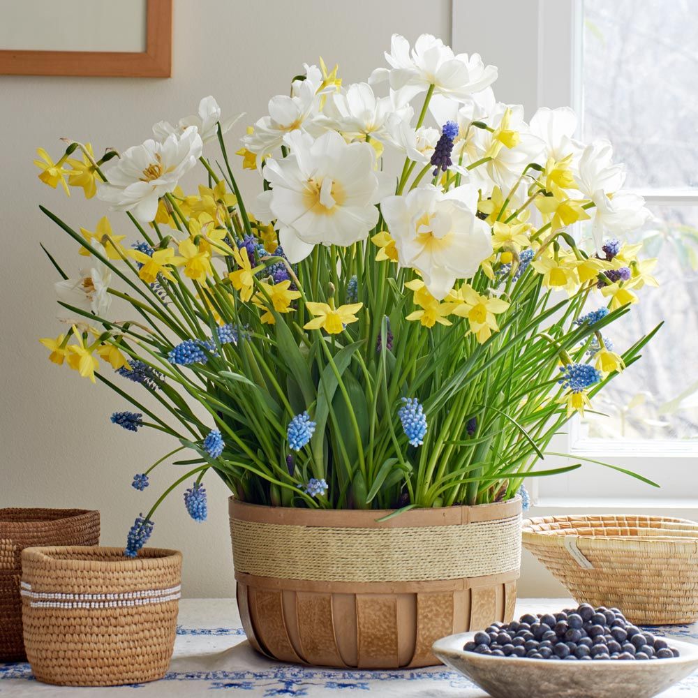 Golden Moments Bulb Collection in large wooden basket