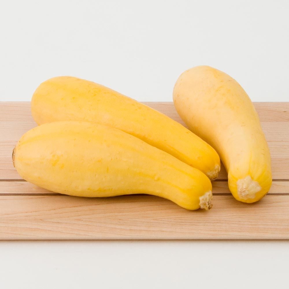 Squash Multipik Plants