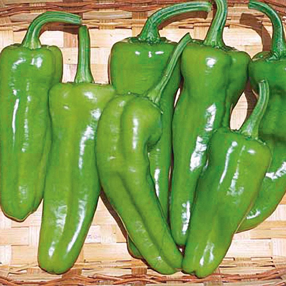 Sweet Pepper Pepperoncini