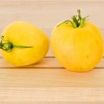  Tomato 'Garden Peach'