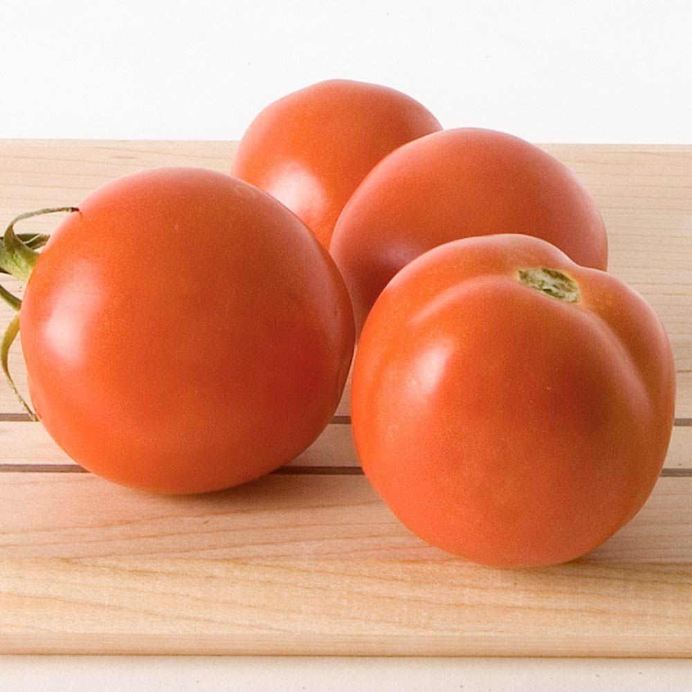 Tomato 'Iron Lady' White Flower Farm