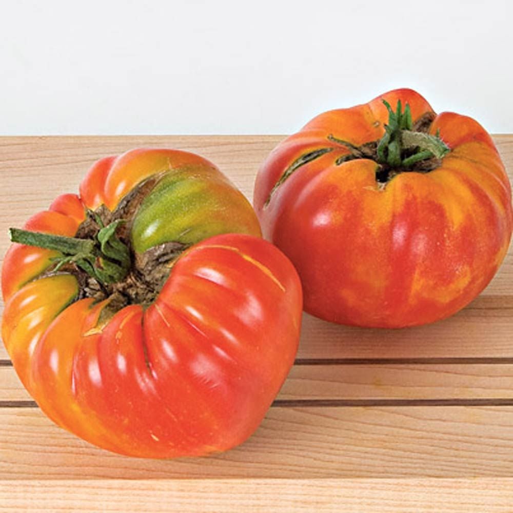 Tomato 'Striped German'