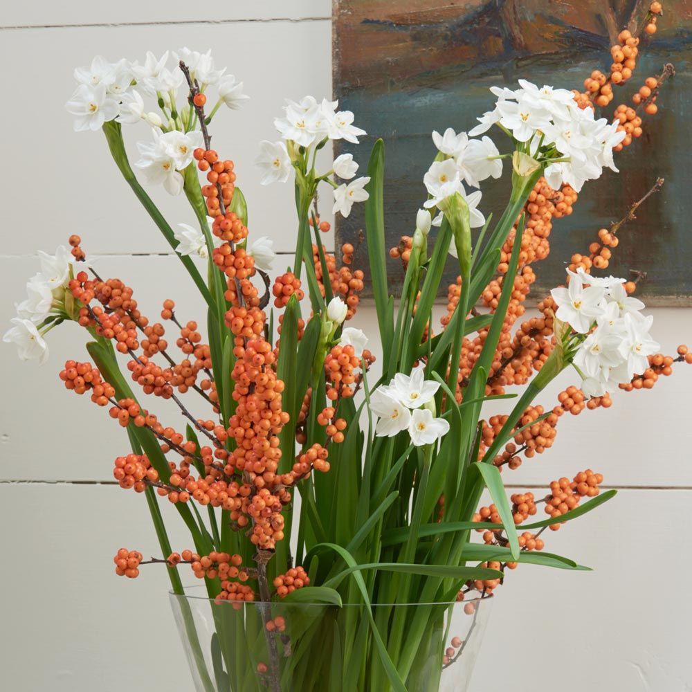 Winter Gold Winterberry Branches White Flower Farm